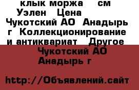 клык моржа 77 см  Уэлен › Цена ­ 7 000 - Чукотский АО, Анадырь г. Коллекционирование и антиквариат » Другое   . Чукотский АО,Анадырь г.